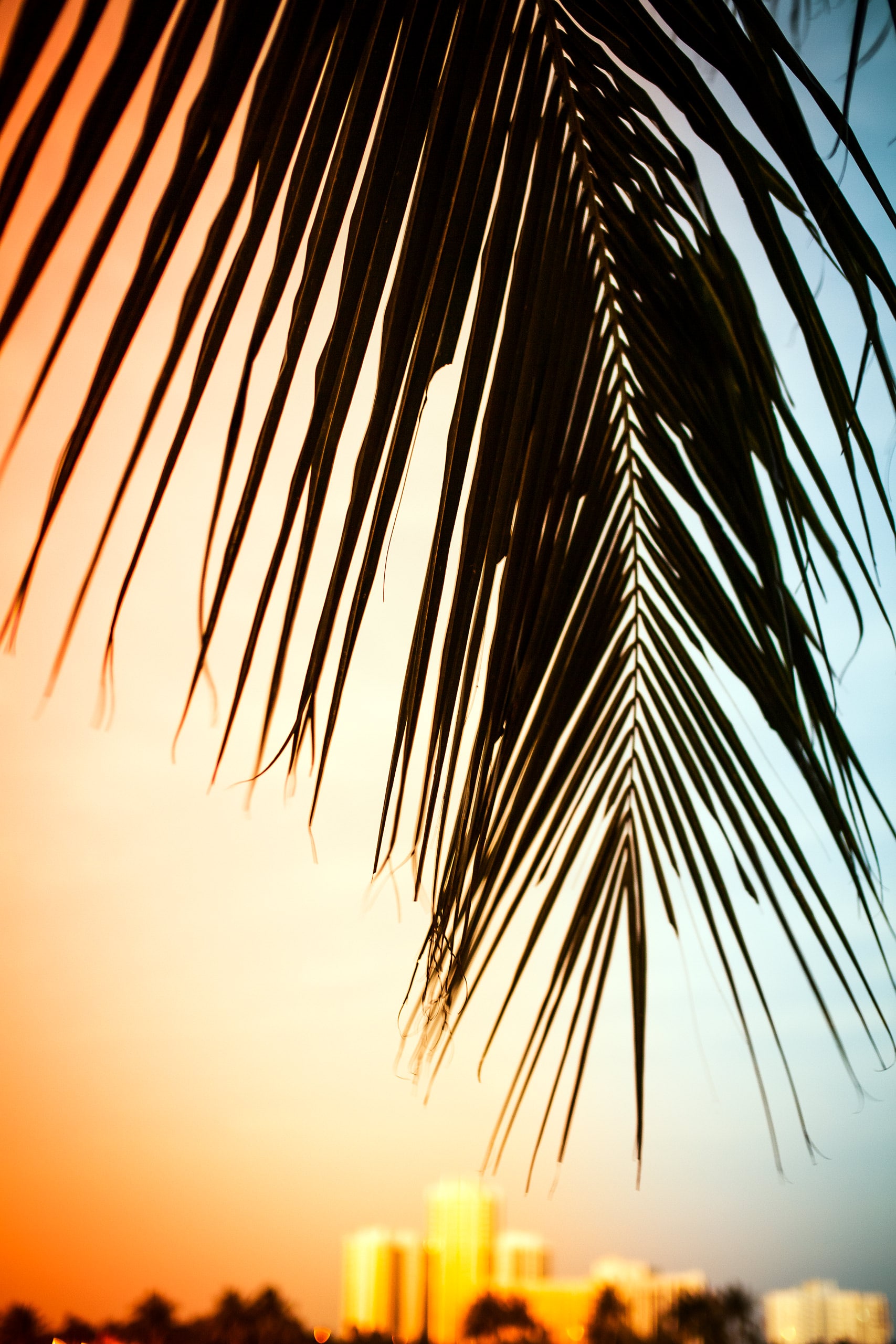 MIAMI-SUNSET-01-9557